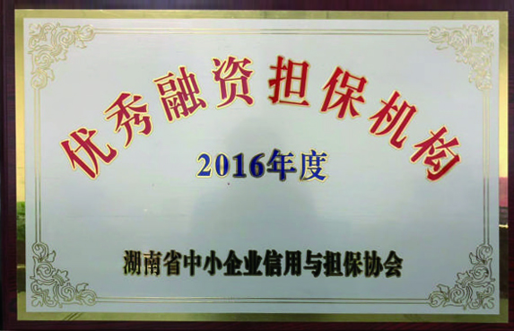 2016年度優(yōu)秀融資擔保機構(gòu)
